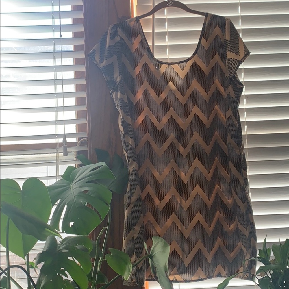 Tan and Black Charlotte Russe Shift Dress